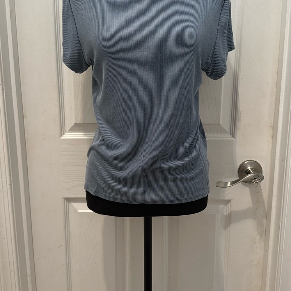 American Eagle Outfitters Blue and Gray Raglan Polo Tee